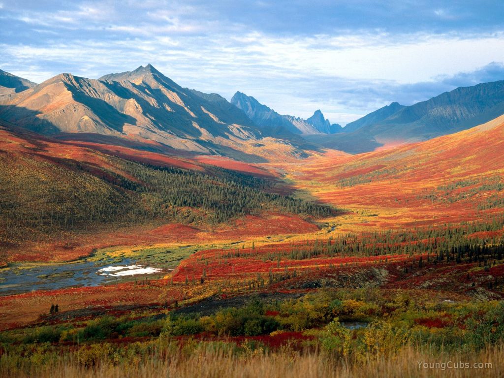 Mount Tombstone, Upper North Klondike Valley, Olgilvie Mountains, Yukon, Canada